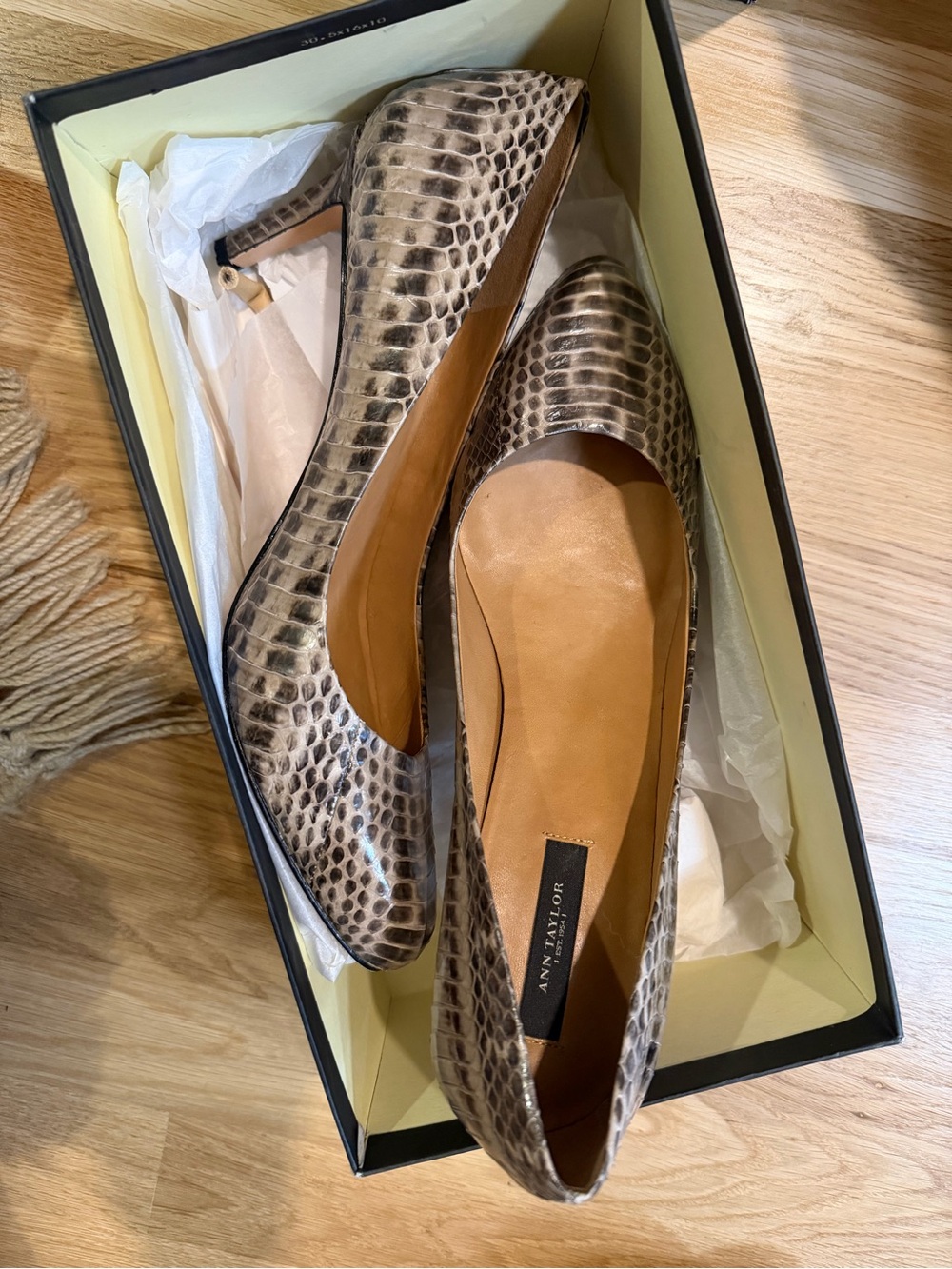 Ann Taylor Snake Pumps